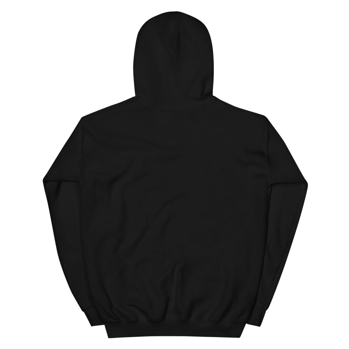 unisex-heavy-blend-hoodie-black-back-6a734c0b956b0.jpg